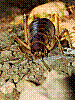 dsc00264_8x6.jpg