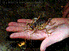 dsc00269_8x6.jpg
