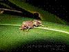 dsc00285_8x6.jpg