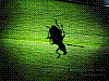 dsc00289_8x6.jpg