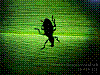 dsc00292_8x6.jpg