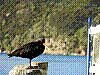 dsc00300_8x6.jpg