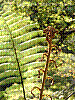 dsc03519_8x6.jpg