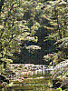 dsc03537_8x6.jpg