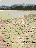 dsc03664_8x6.jpg