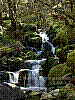 dsc09955_8x6.jpg