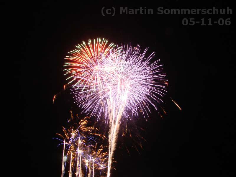dsc03219_8x6.jpg