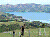 dsc03141_8x6.jpg