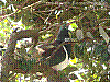 dsc03188_8x6.jpg