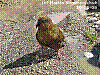 dsc03353_8x6.jpg