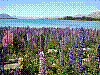 dsc03927_8x6.jpg
