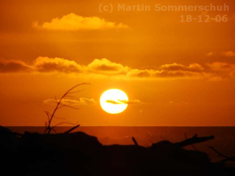 dsc06540_8x6.jpg