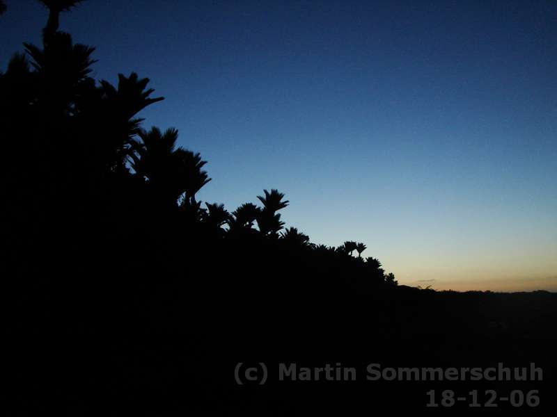 dsc06592_8x6.jpg