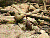 dsc06241_8x6_ktrh.jpg
