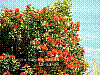 dsc06381_8x6_hllhn_saeh.jpg