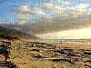 dsc06498_8x6_ktrh.jpg
