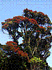 dsc06611_8x6.jpg