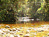 dsc06667_8x6.jpg