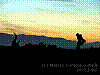 dsc05633_8x6_hllh-n_saeh.jpg