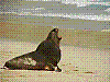 dsc04469_8x6.jpg