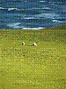 dsc04498_8x6.jpg