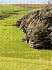 dsc04686_8x6_hlln_saeh.jpg