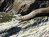 dsc05272_8x6.jpg